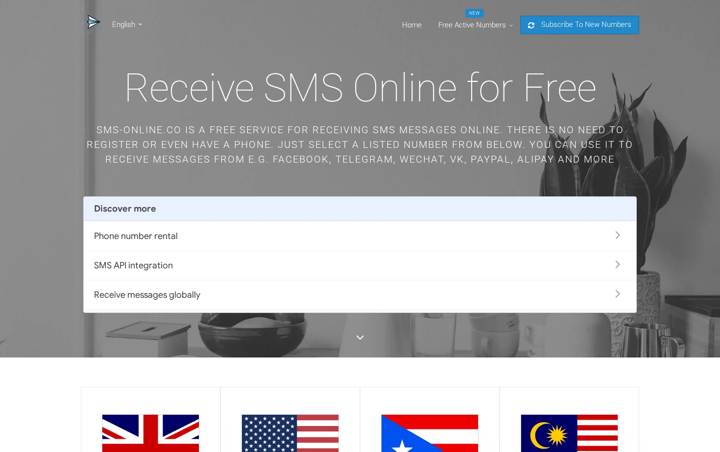 SMS Online 页面快照